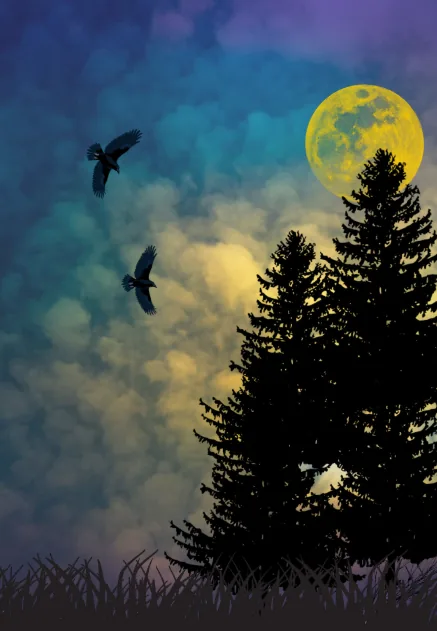 외주 수주 · 특수효과 상세페이지 작품, 캔디짱 37기 · 임O영